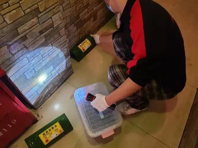 餐饮业灭老鼠防治方法