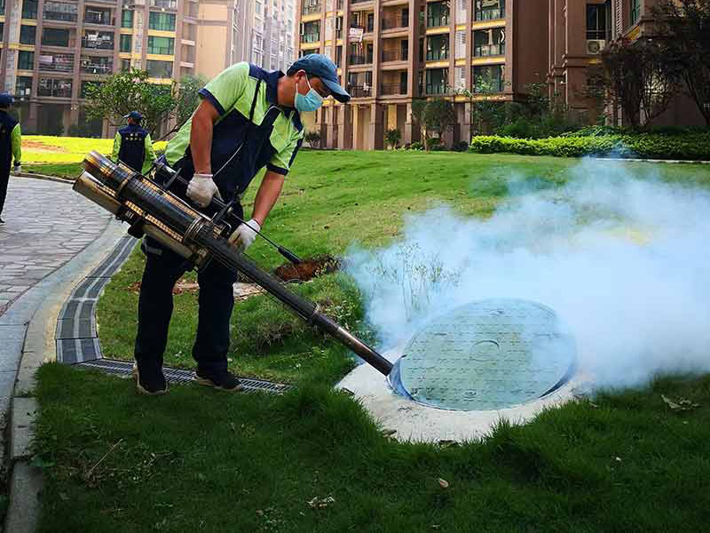 消杀的注意事项